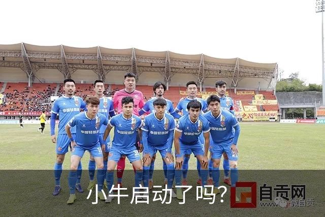 小牛启动了吗？
